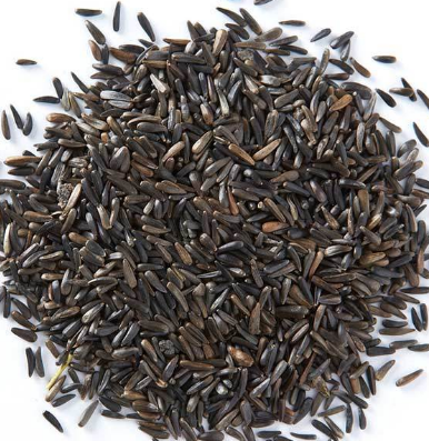 Oil Seeds Oil Seeds